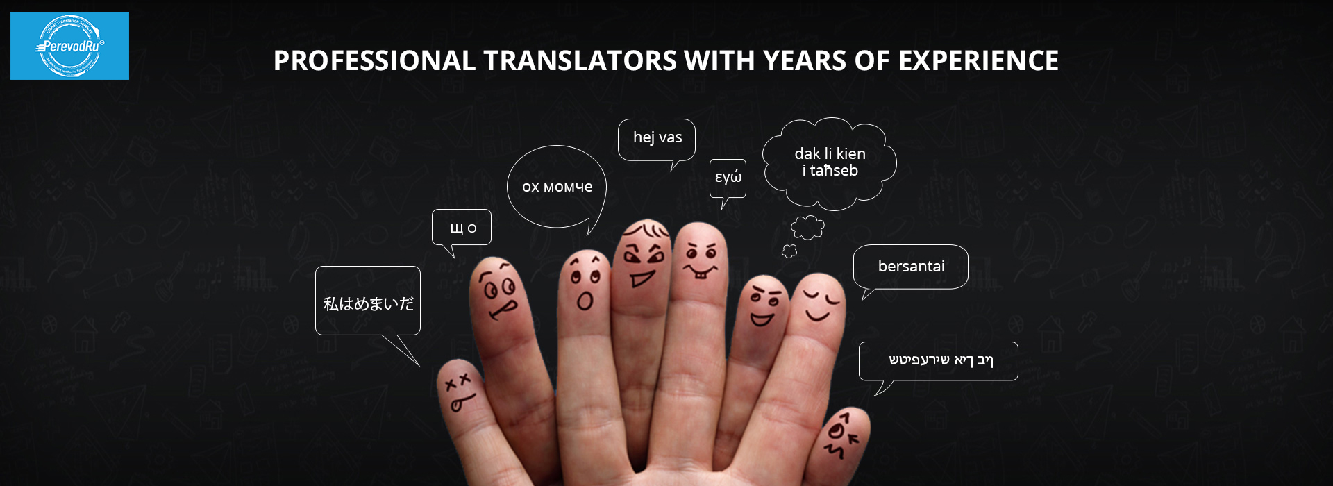 Professional translators with years of experience