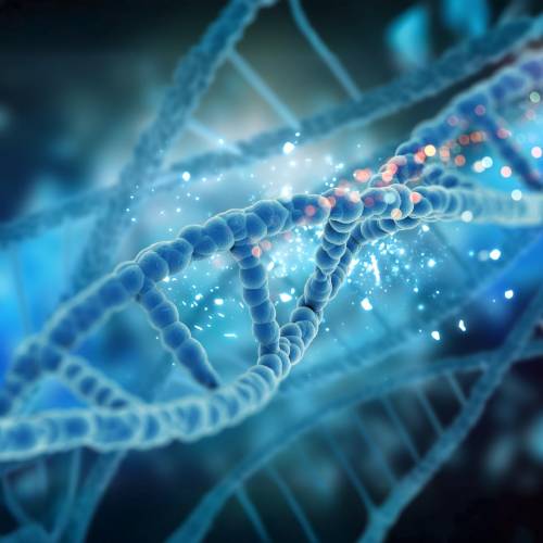 Life Sciences