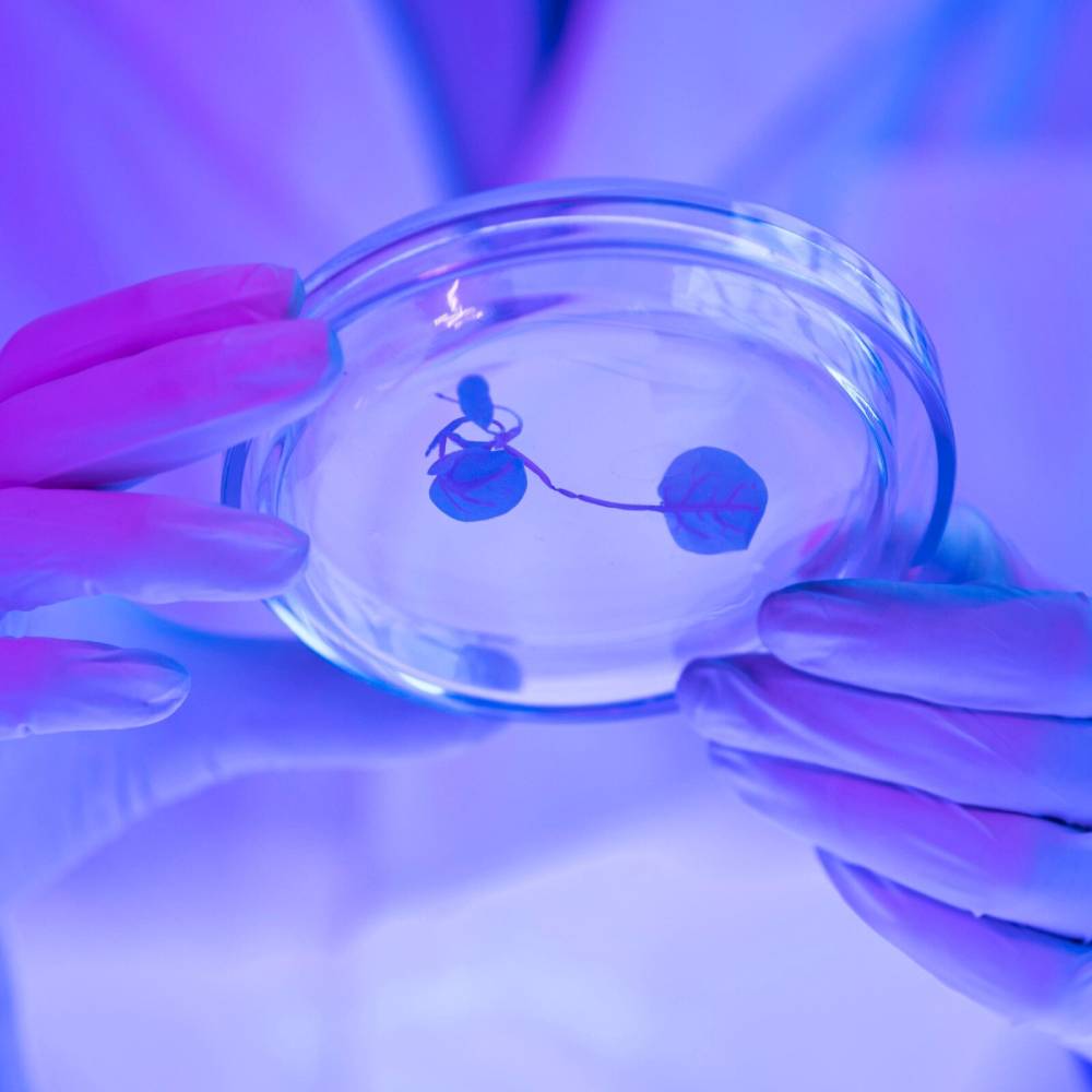 Life sciences